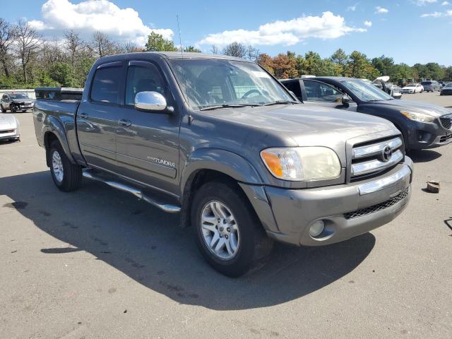 5TBDT44166S511570 - 2006 TOYOTA TUNDRA DOUBLE CAB SR5 GRAY photo 4
