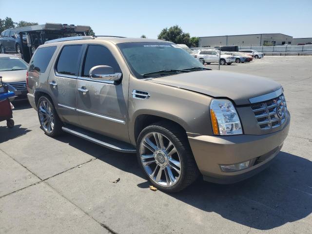1GYFK63887R151029 - 2007 CADILLAC ESCALADE LUXURY Złoty zdjęcie 4