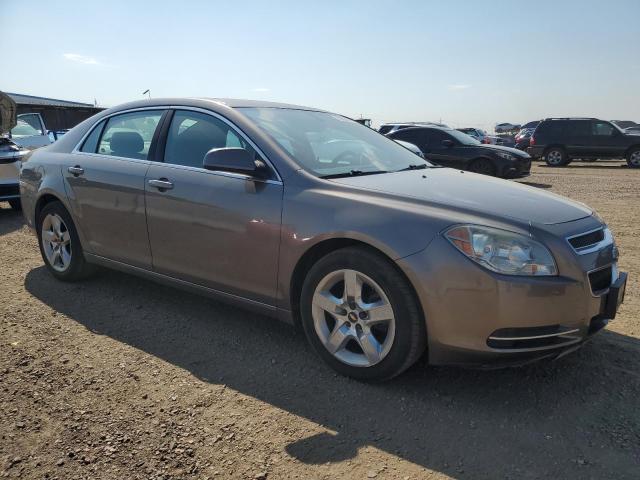 1G1ZC5E00AF177630 - 2010 CHEVROLET MALIBU 1LT GRAY photo 4