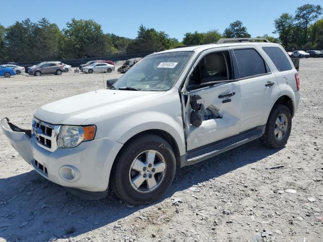 2011 FORD ESCAPE XLT, 