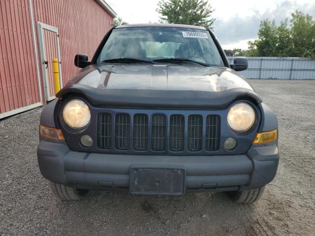 1J4GL48KX6W275796 - 2006 JEEP LIBERTY SPORT Blau Foto 5