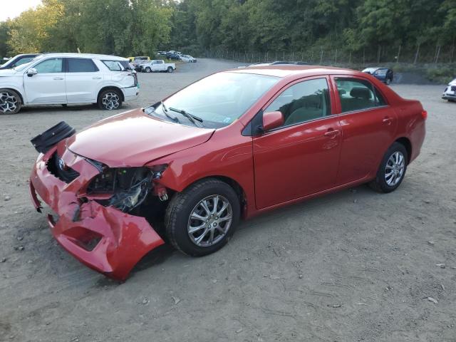 2T1BU4EE7AC326099 - 2010 TOYOTA COROLLA BASE RED photo 1