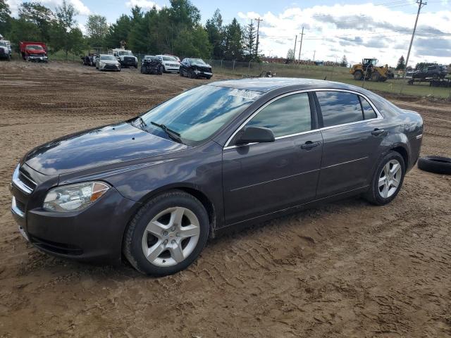 2010 CHEVROLET MALIBU LS, 