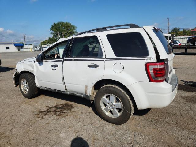 1FMCU0DG9AKD12263 - 2010 FORD ESCAPE XLT 白色 照片 2