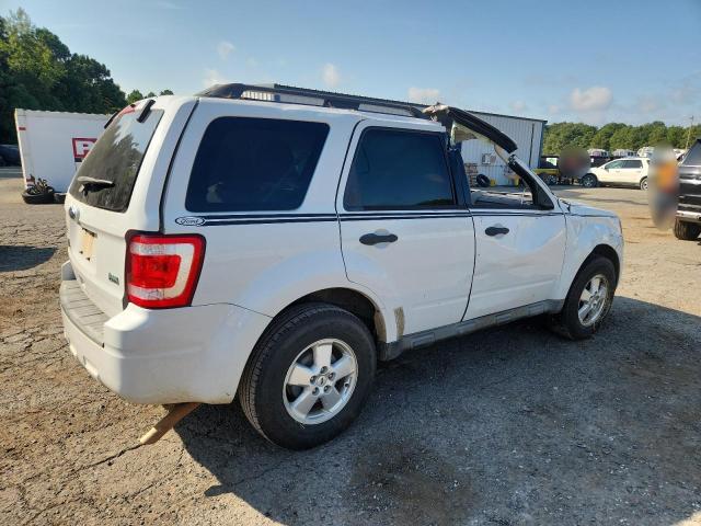 1FMCU0DG9AKD12263 - 2010 FORD ESCAPE XLT 白色 照片 3