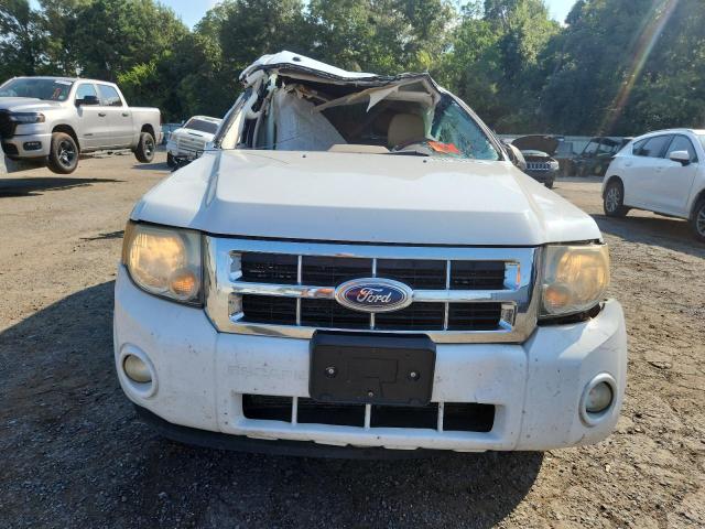 1FMCU0DG9AKD12263 - 2010 FORD ESCAPE XLT 白色 照片 5