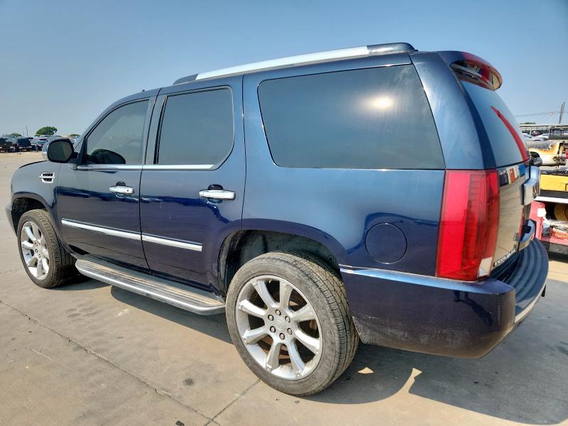 1GYFK63837R344026 - 2007 CADILLAC ESCALADE LUXURY أزرق صورة 2