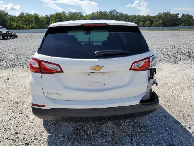 2GNAXHEV1K6118546 - 2019 CHEVROLET EQUINOX LS 白色 照片 6