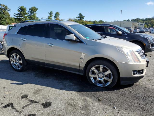 3GYFNFE39CS501915 - 2012 CADILLAC SRX PREMIUM COLLECTION GOLD photo 4