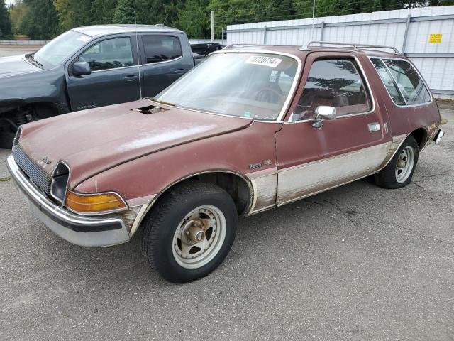 A7A687C120198 - 1977 PACE PACSW كستنائي صورة 1