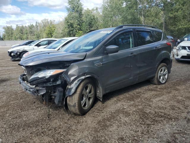 2014 FORD ESCAPE SE, 