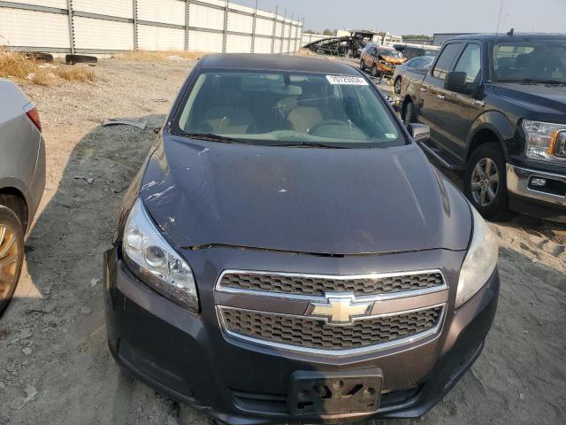 1G11C5SA7DF195170 - 2013 CHEVROLET MALIBU 1LT GRAY photo 5