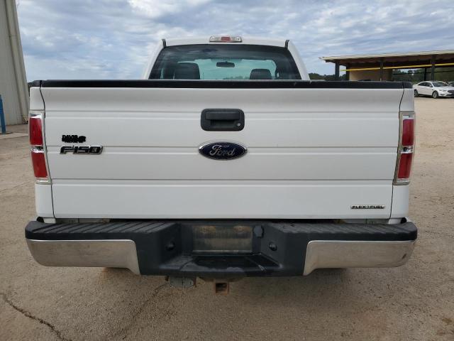 1FTMF1EF0DKD93141 - 2013 FORD F150 Beyaz fotoğraf 6
