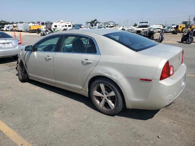 1G1ZA5E06AF289841 - 2010 CHEVROLET MALIBU LS Gold Foto 2