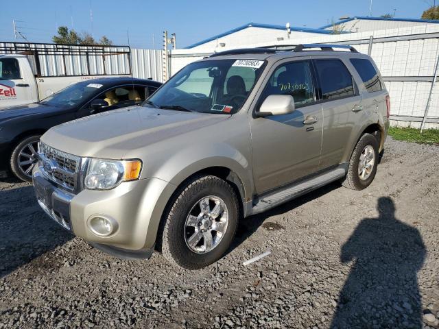 2011 FORD ESCAPE LIMITED, 