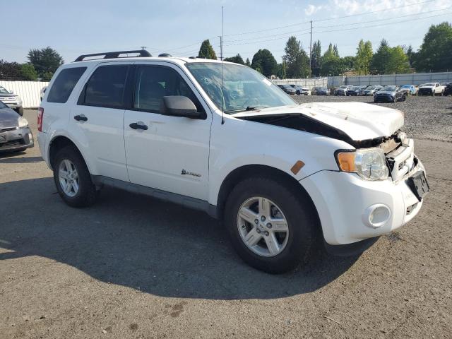 1FMCU59379KB00492 - 2009 FORD ESCAPE HYBRID Ağ foto 4