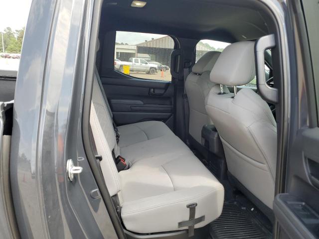 3TYKB5FN4RT007213 - 2024 TOYOTA TACOMA DOUBLE CAB Grau Foto 10