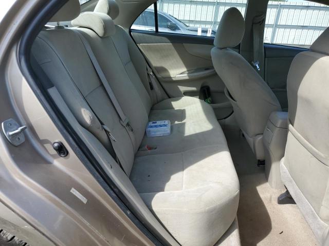 1NXBU4EE8AZ247717 - 2010 TOYOTA COROLLA BASE Ոսկեգույն լուսանկար 10