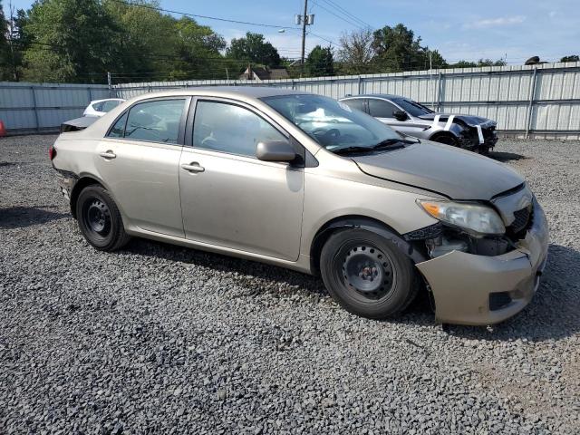 1NXBU4EE8AZ247717 - 2010 TOYOTA COROLLA BASE Ոսկեգույն լուսանկար 4