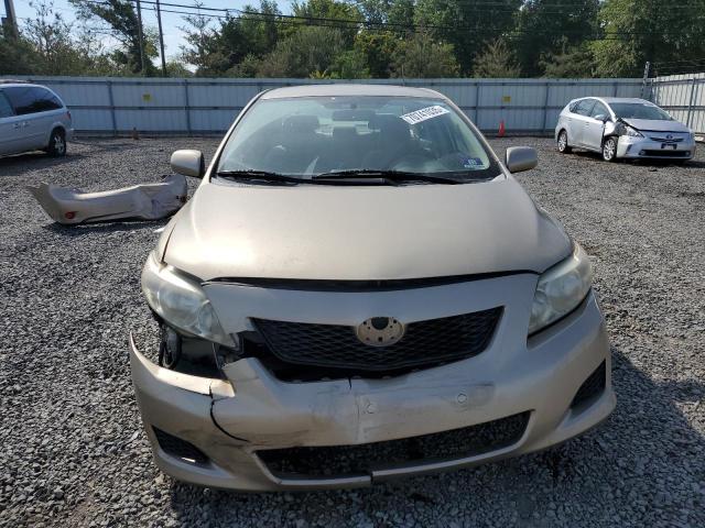 1NXBU4EE8AZ247717 - 2010 TOYOTA COROLLA BASE Ոսկեգույն լուսանկար 5