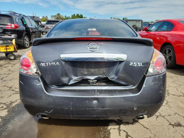 1N4AL2AP5AN476256 - 2010 NISSAN ALTIMA BASE Boz foto 6