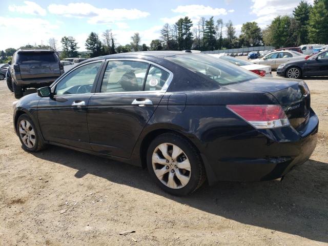 1HGCP36838A032083 - 2008 HONDA ACCORD EXL BLACK photo 2