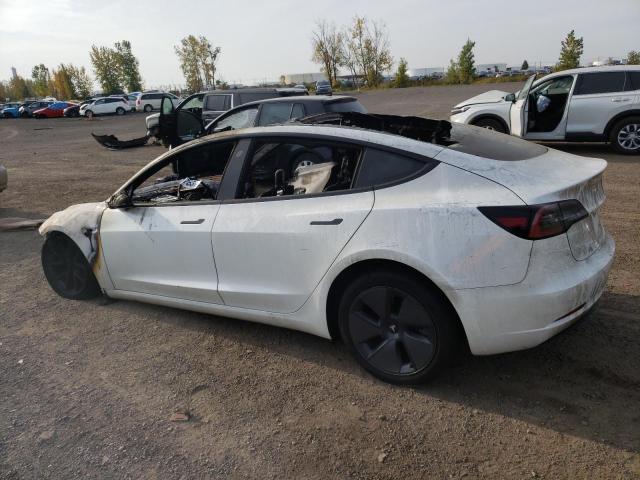 5YJ3E1EA5PF426915 - 2023 TESLA MODEL 3 WHITE photo 2