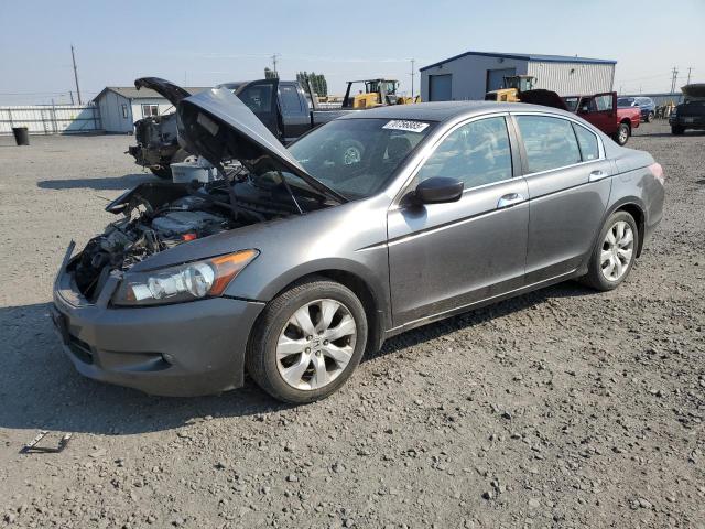 2009 HONDA ACCORD EXL, 
