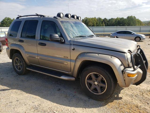 1J4GL38K12W367142 - 2002 JEEP LIBERTY RENEGADE GRAY photo 4