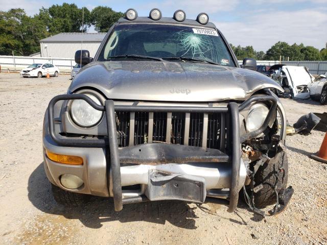 1J4GL38K12W367142 - 2002 JEEP LIBERTY RENEGADE GRAY photo 5