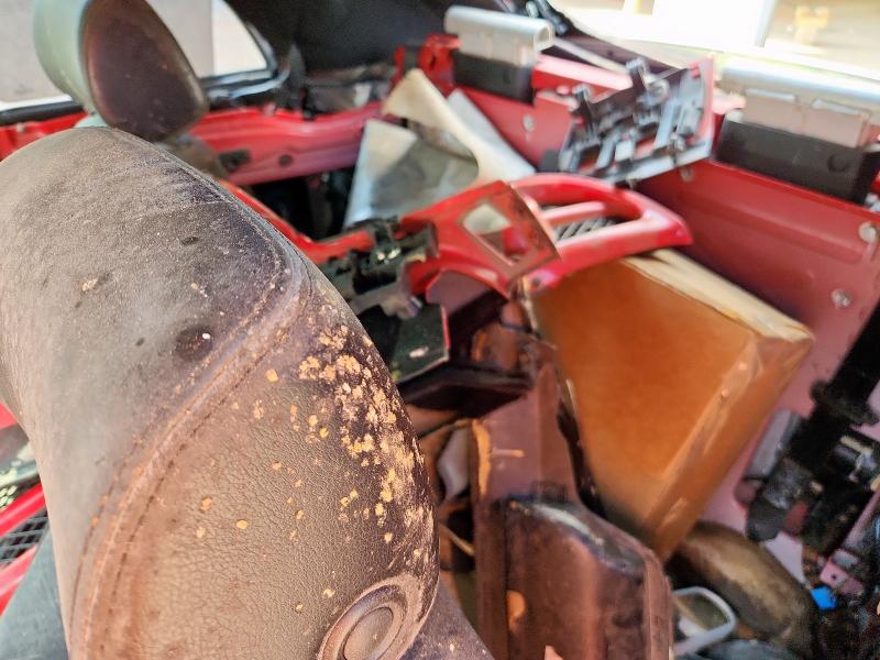 3VWCD21Y24M305663 - 2004 VOLKSWAGEN NEW BEETLE GLS 红色 照片 10