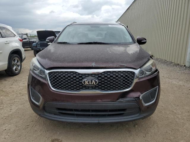 5XYPGDA59JG394184 - 2018 KIA SORENTO LX BURGUNDY photo 5