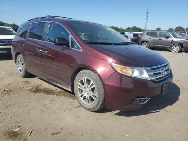 5FNRL5H63CB020740 - 2012 HONDA ODYSSEY EXL 勃艮第红 照片 4