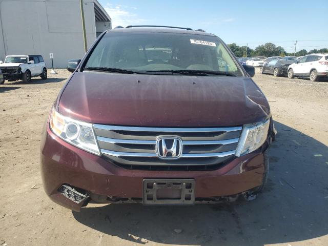 5FNRL5H63CB020740 - 2012 HONDA ODYSSEY EXL 勃艮第红 照片 5