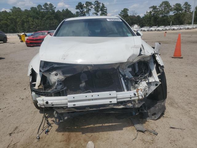 1HGCP26829A149147 - 2009 HONDA ACCORD EXL 白色 照片 5