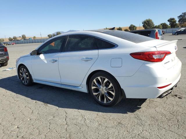 5NPE34ABXHH511329 - 2017 HYUNDAI SONATA SPORT თეთრი ფოტო 2