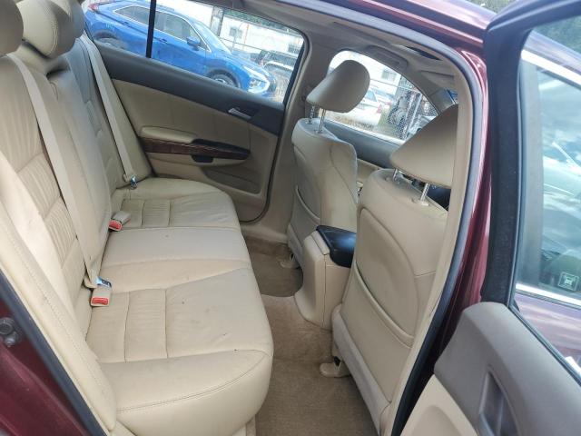 1HGCP36858A077154 - 2008 HONDA ACCORD EXL 勃艮第红 照片 10