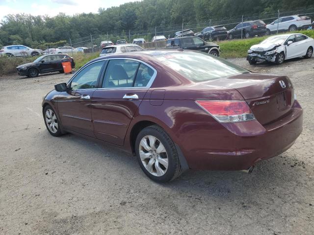 1HGCP36858A077154 - 2008 HONDA ACCORD EXL 勃艮第红 照片 2