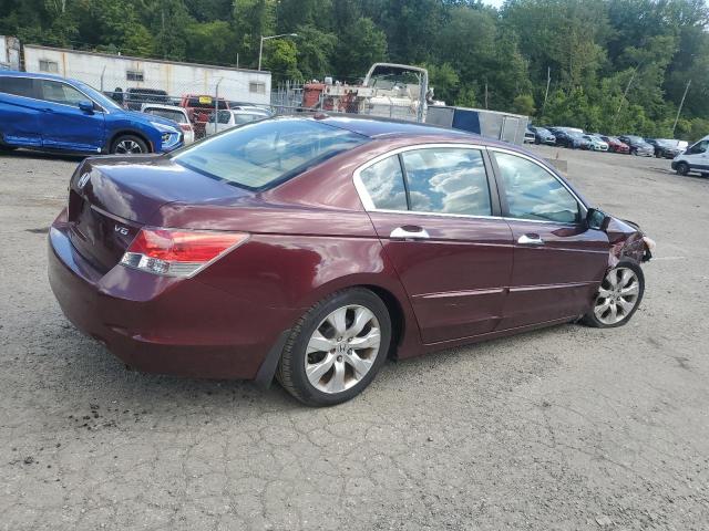 1HGCP36858A077154 - 2008 HONDA ACCORD EXL 勃艮第红 照片 3