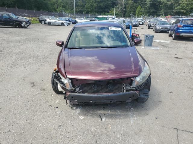 1HGCP36858A077154 - 2008 HONDA ACCORD EXL 勃艮第红 照片 5