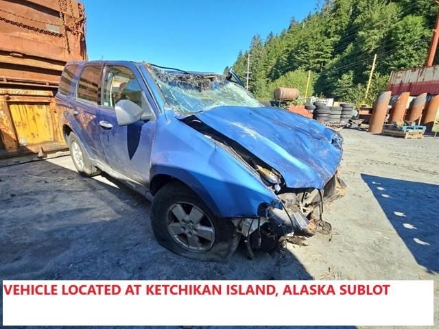 2009 FORD ESCAPE XLT, 