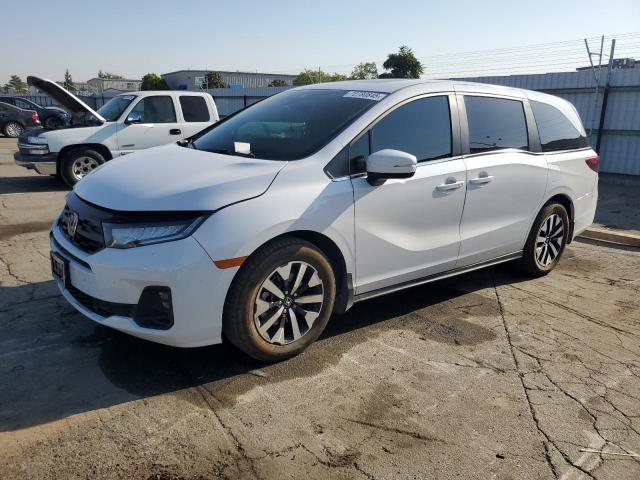 2025 HONDA ODYSSEY EXL, 