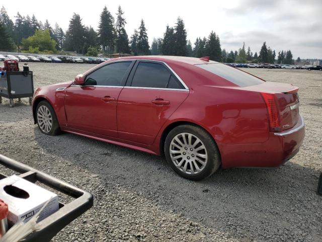 1G6DL5EG1A0139828 - 2010 CADILLAC CTS PERFORMANCE COLLECTION Rojo foto 2