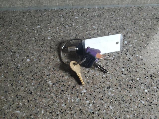 4YDF30022GE760623 - 2016 KEYSTONE AVALANCHE ორფეროვანი ფოტო 9