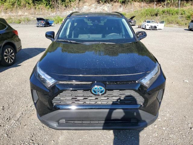 2T3LWRFV9RW199366 - 2024 TOYOTA RAV4 LE BLACK photo 5