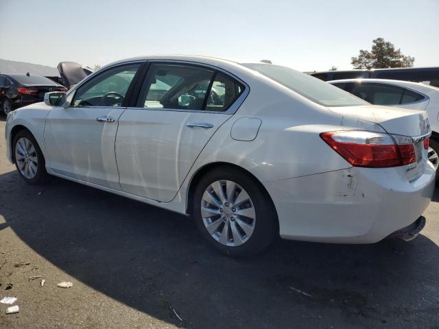 1HGCR2F84DA242285 - 2013 HONDA ACCORD EXL 白色 照片 2