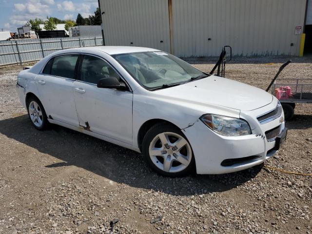 1G1ZA5EUXCF211679 - 2012 CHEVROLET MALIBU LS WHITE photo 4