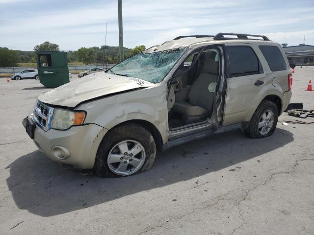 2010 FORD ESCAPE XLT, 