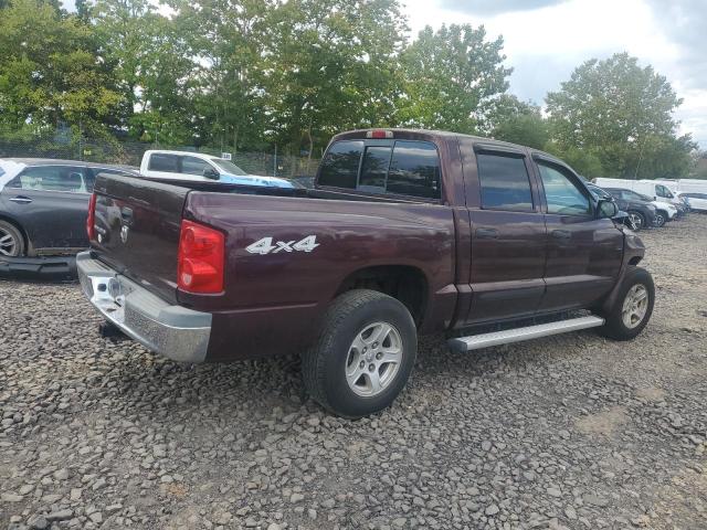 1D7HW48K75S209767 - 2005 DODGE DAKOTA QUAD SLT Granate foto 3