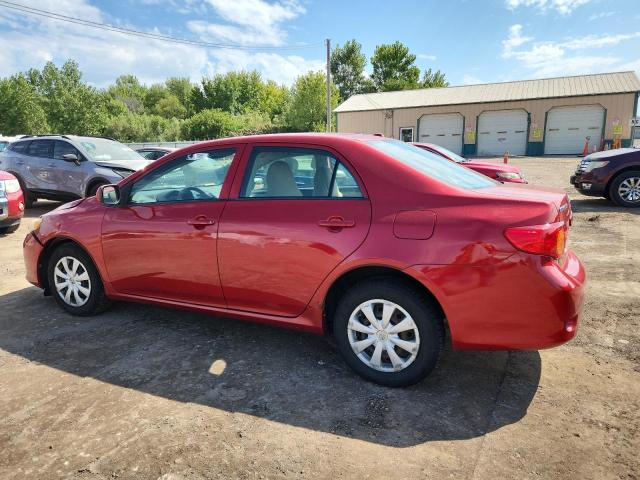 1NXBU4EE9AZ380762 - 2010 TOYOTA COROLLA BASE 红色 照片 2